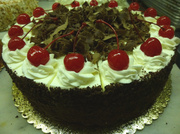 23rd Apr 2014 - Black Forest
