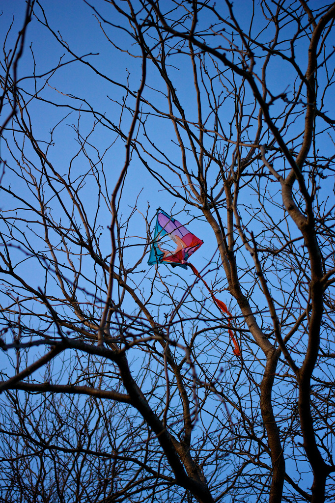 The Kite-Eating Tree by jyokota