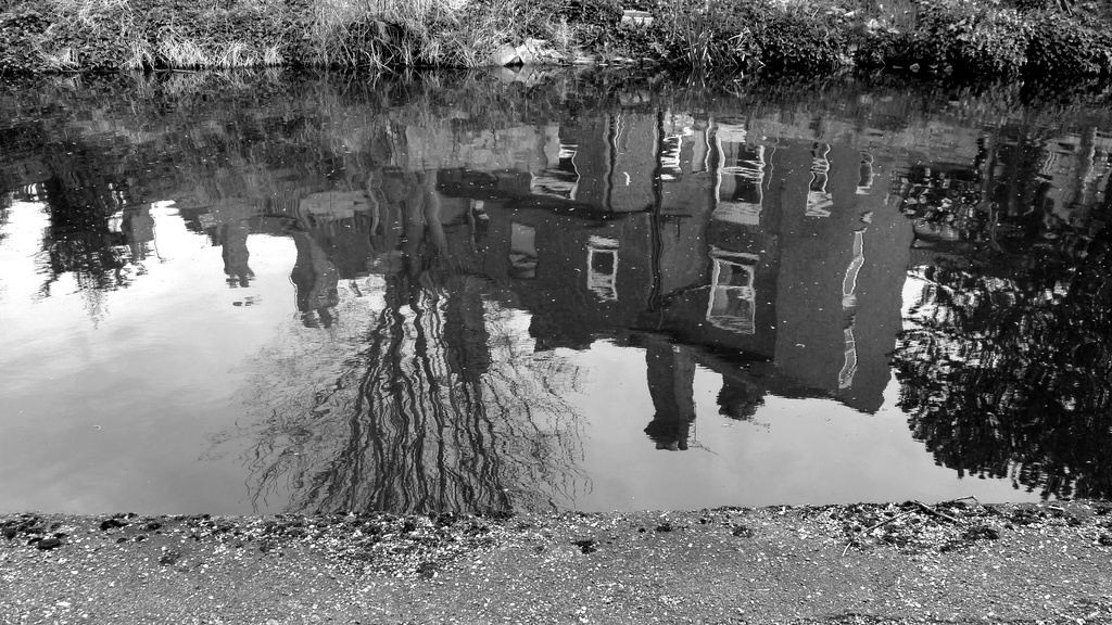 Canal Walk : Reflection by newbank