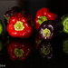 Capsicum from the garden by flyrobin