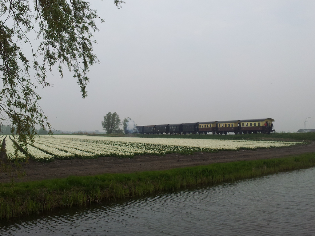 Oostwoud - Poelweg by train365