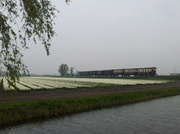 24th Apr 2014 - Oostwoud - Poelweg
