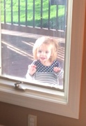 22nd Apr 2014 - How much is that baby in the window?