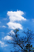 24th Apr 2014 - Clouds