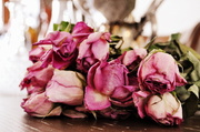 22nd Apr 2014 - Dried Roses