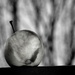 Creepy Apple by yaorenliu