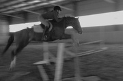 25th Apr 2014 - Shayely at jumping practise