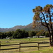 2014 04 25 Semi-Rural Fences by kwiksilver