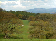 24th Apr 2014 - A another view of Clee hill....