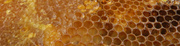 26th Apr 2014 - Honeycomb