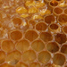 Honeycomb by corktownmum