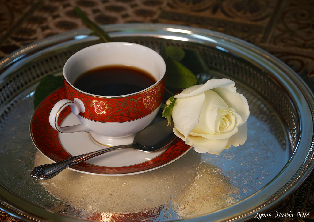 Morning Coffee by lynne5477
