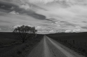 27th Apr 2014 - The Road