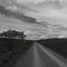 The Road by yaorenliu