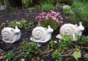 25th Apr 2014 - The Rain Has Brought The Snails Out