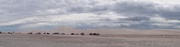 26th Apr 2014 - Lancelin dunes