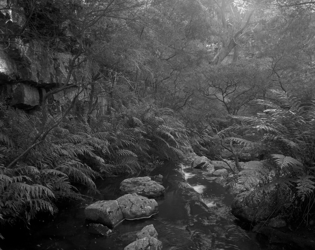 Kanangra Brook by peterdegraaff