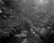 27th Apr 2014 - Kanangra Brook