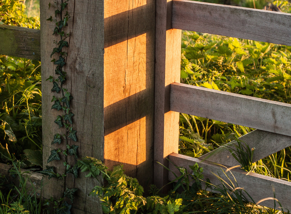 Gate post at golden hour by dulciknit