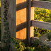 Gate post at golden hour by dulciknit