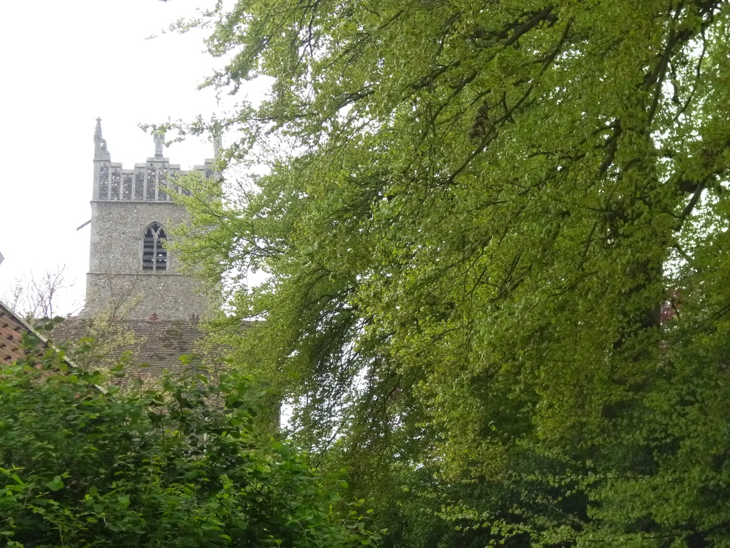Newboune church trough the trees by lellie