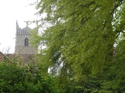 27th Apr 2014 - Newboune church trough the trees