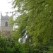 Newboune church trough the trees by lellie