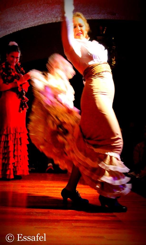 20140422 - Flamenco! by essafel