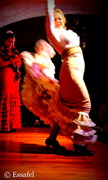 22nd Apr 2014 - 20140422 - Flamenco!