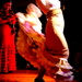 20140422 - Flamenco! by essafel