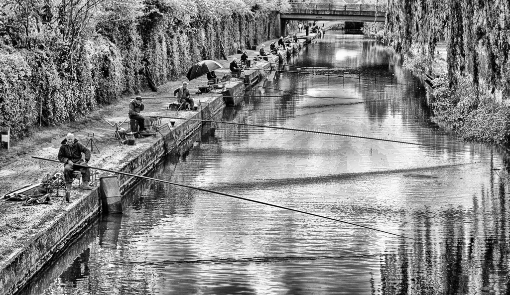 Grand Union Canal, Loughborough ~ 1 by seanoneill