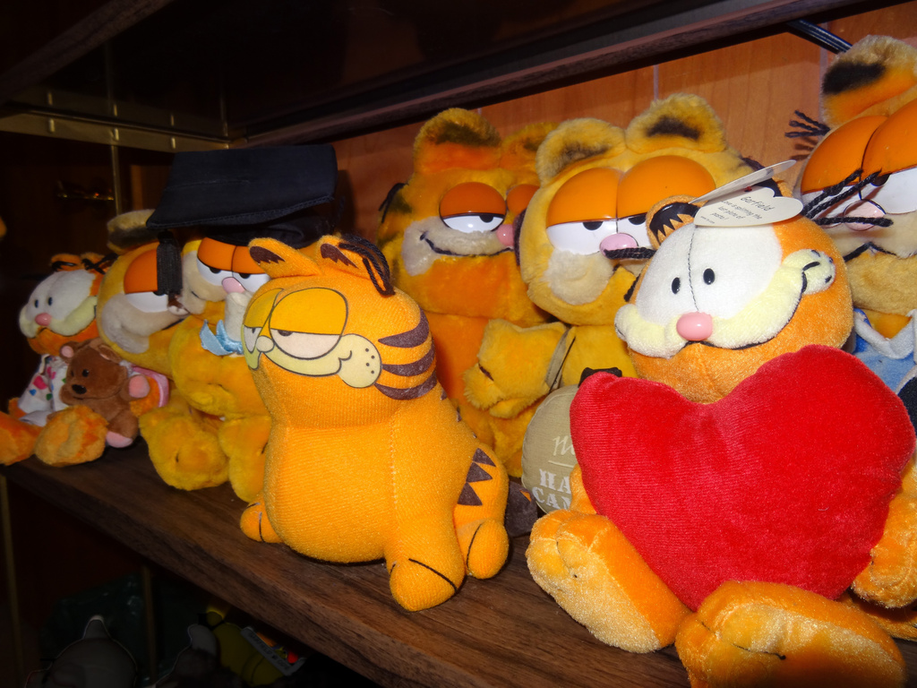 Day 327 Shelf of Garfields by rminer
