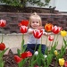 Stop and smell the tulips by mdoelger