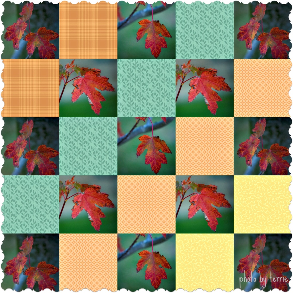 Autumn patchwork by teodw