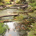Autumn Pond by kiwinanna