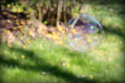28th Apr 2014 - Bubble in the wind
