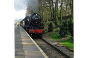 28th Apr 2014 - 90733 steaming into Ingrow station