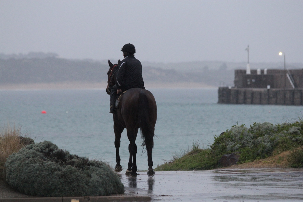 Wet, wet start to Race Carnival by gilbertwood