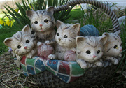 29th Apr 2014 - A basket full of joy