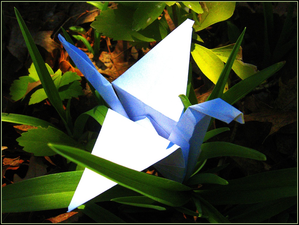 One Origami Crane by olivetreeann