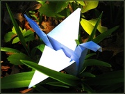 25th Apr 2014 - One Origami Crane