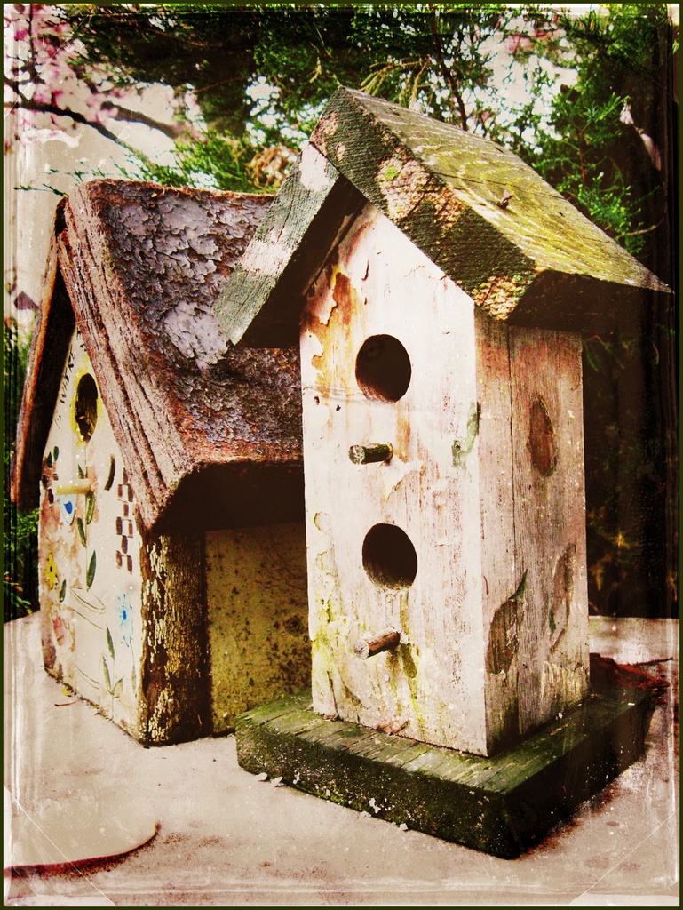 Two Little Birdhouses by olivetreeann