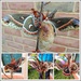 Moth Love by allie912