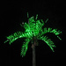 Palm Tree (Sort of) by april16