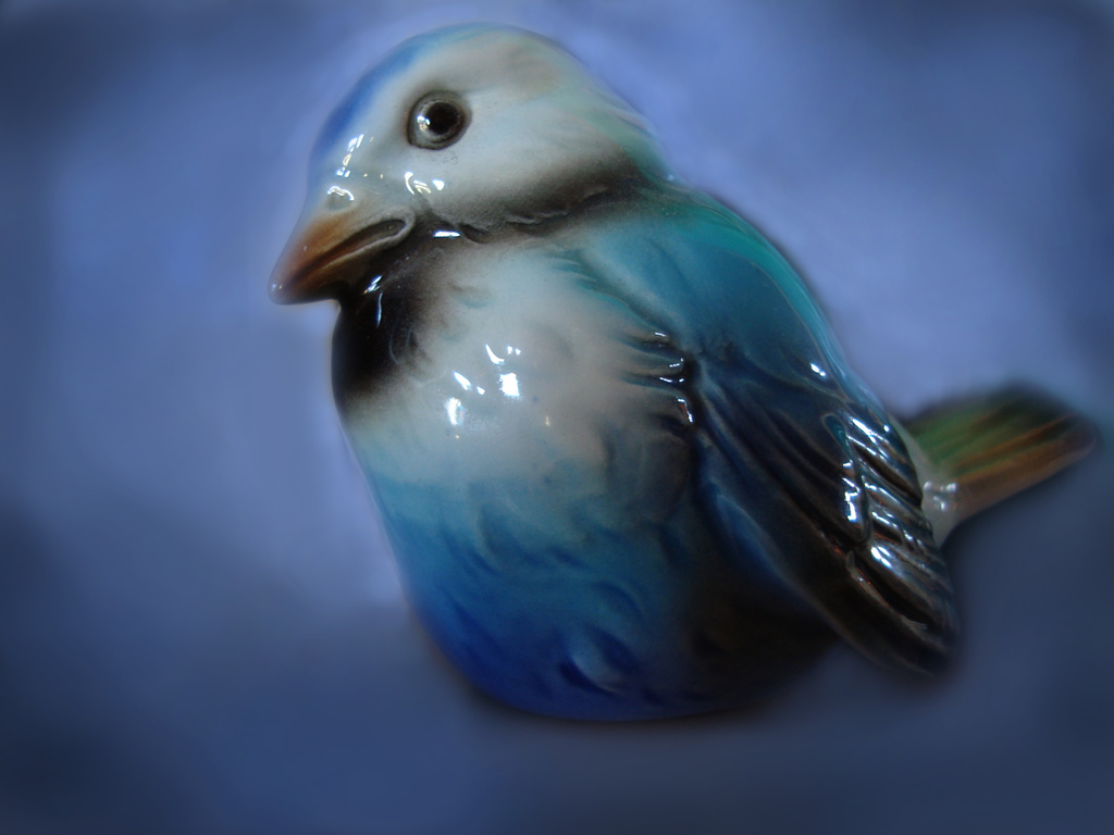 Blue Bird by mcsiegle