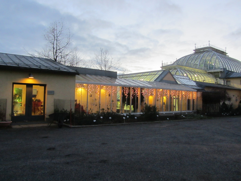 Greenhouses in Kaisaniemi IMG_3529 by annelis
