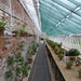 Greenhouse at Stourhead by jeff