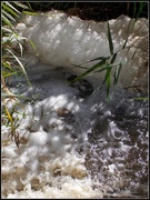 29th Apr 2014 - Froth and Bubble