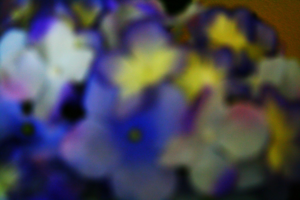 Artificial flowers abstract by mittens