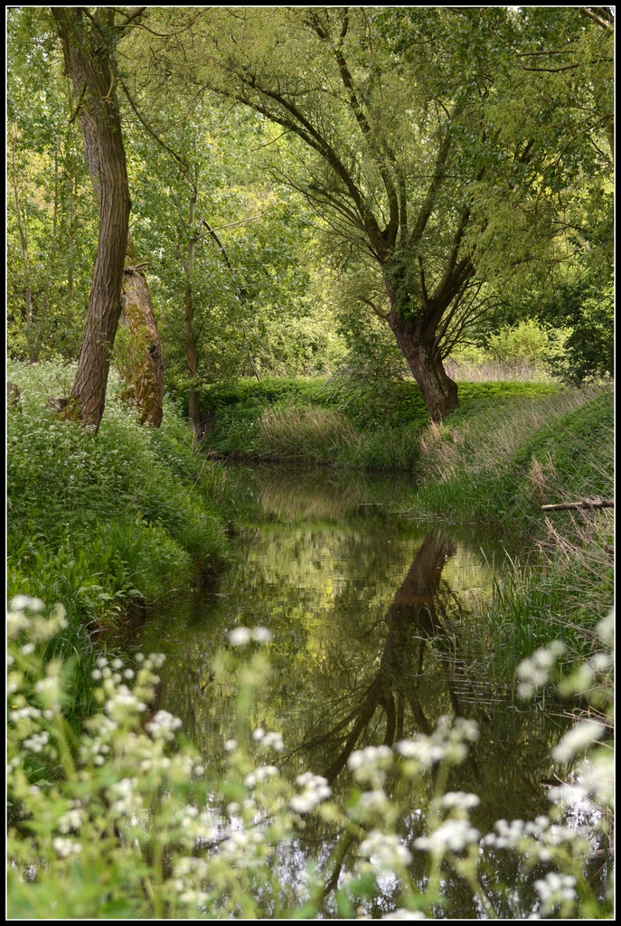 The Brook by rosiekind